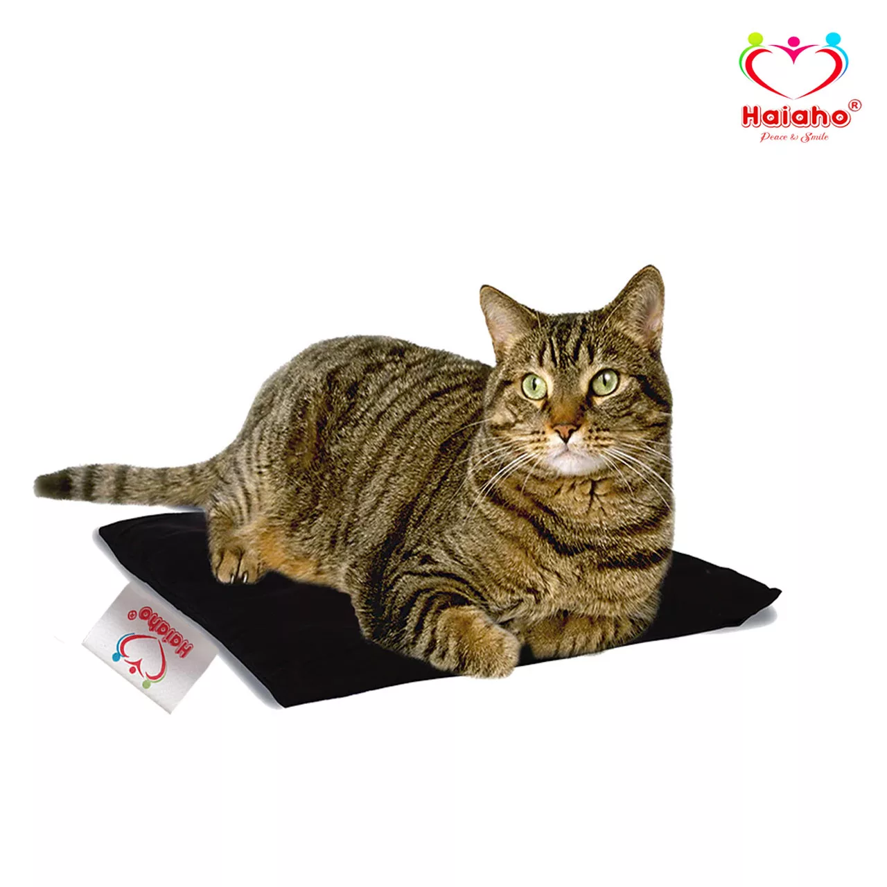 پد خواب و تسکین درد سگ و گربه هیاهو مدل Wheat Bag Pad Square کد 85x85