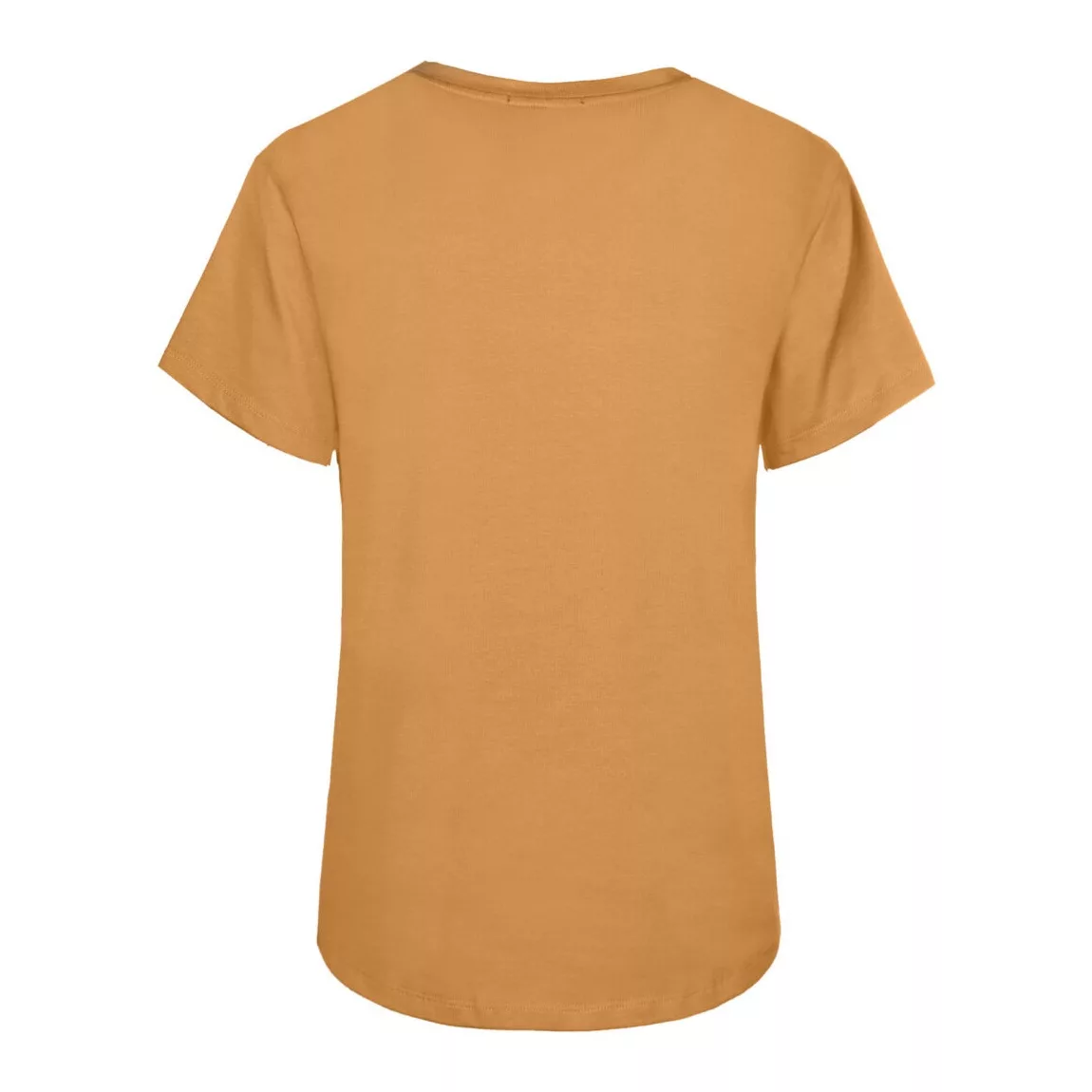 تی شرت آستین کوتاه زنانه مدل SB-SS-2554