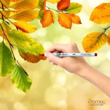 ماژیک رنگ آمیزی پریمک مدل Soft BRUSH بسته 12 عددی