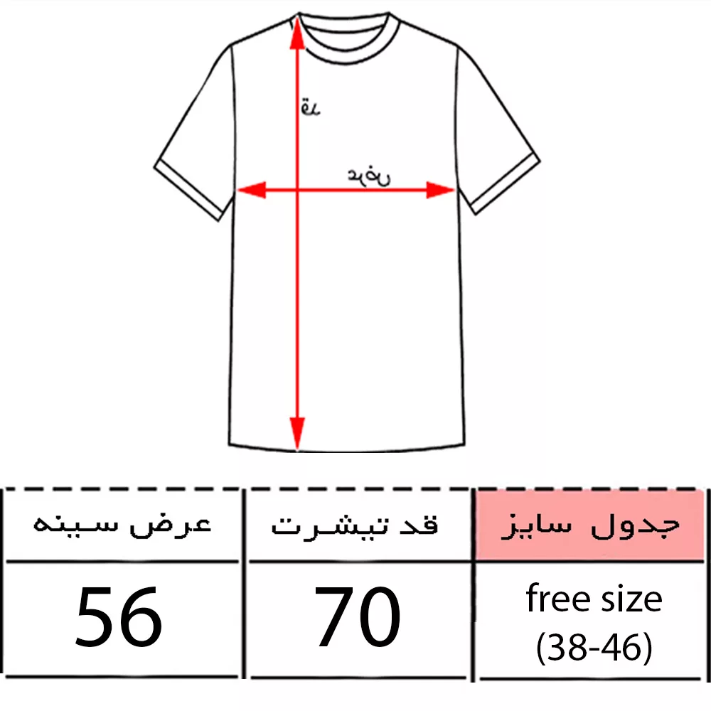 تیشرت اورسایز آستین کوتاه زنانه مدل باکسی طرح پروانه کد 04 رنگ گلبهی