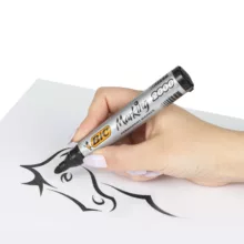 ماژیک بیک مدل اکو پرمننت بسته 12 عددی