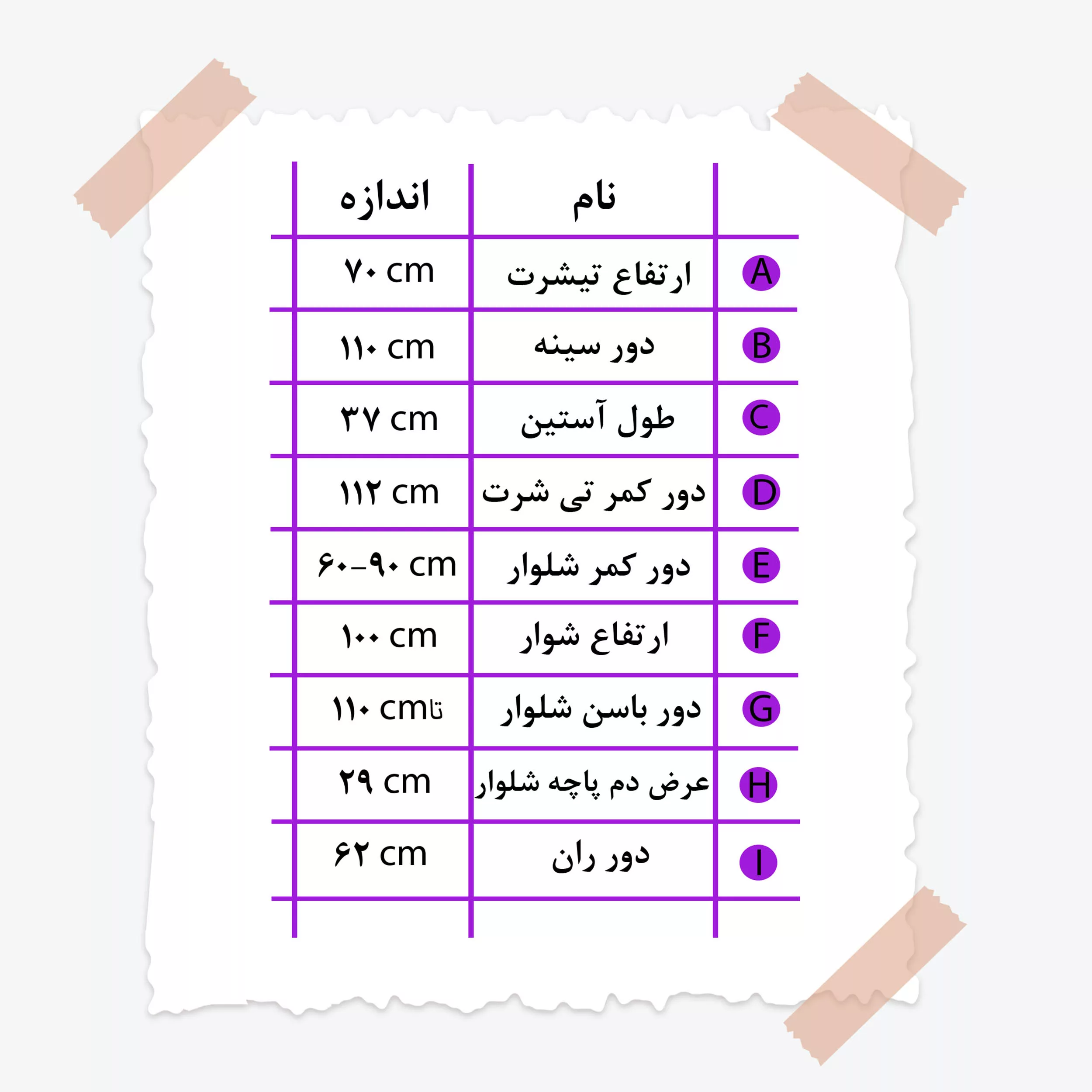 ست تی شرت آستین کوتاه و شلوار راحتی زنانه مدل السانا کد 03