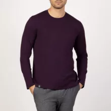 تی شرت آستین بلند مردانه باینت مدل 513-16 رنگ بادمجانی