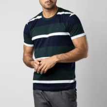 تی شرت آستین کوتاه مردانه باینت مدل 769