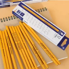 مداد طراحی استدلر مدل Essentials HB2  کد 13251C12A6ST مجموعه 12 عددی