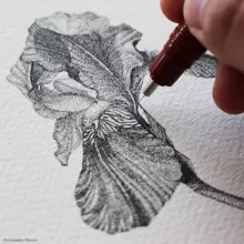 راپید روترینگ مدل isograph