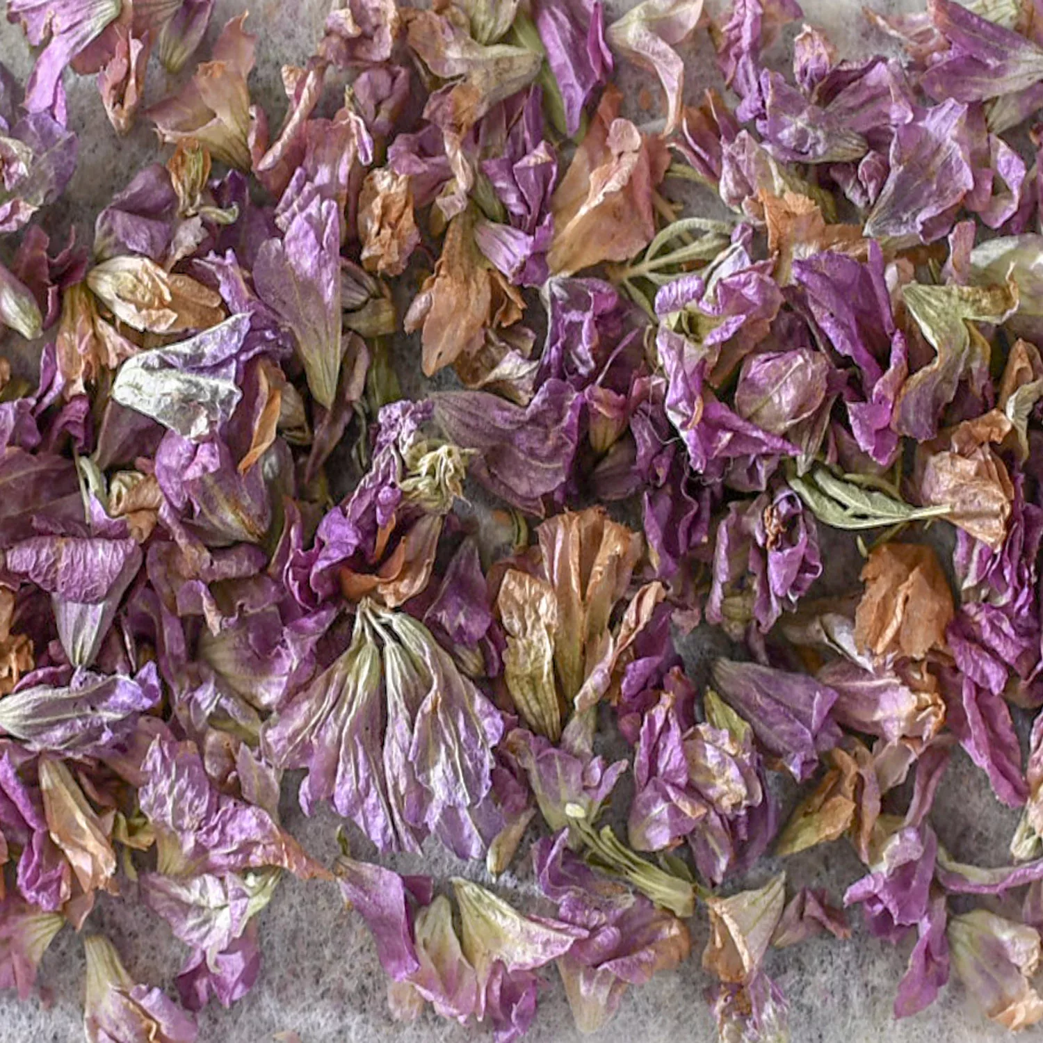 بالش مدل Lavandula - 100