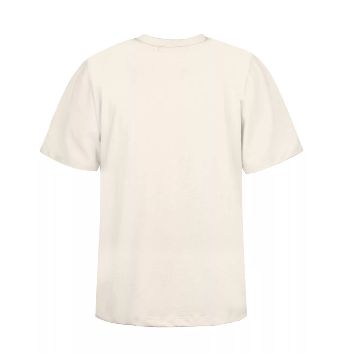 تی شرت آستین کوتاه زنانه مدل SB-SS-3181