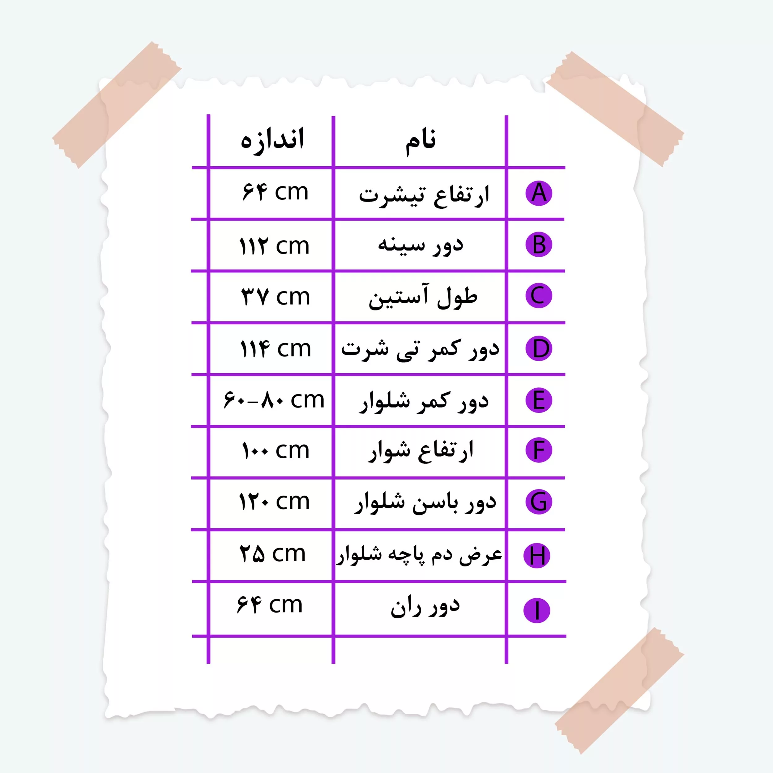ست تی شرت آستین کوتاه و شلوار راحتی زنانه مدل شری کد 02