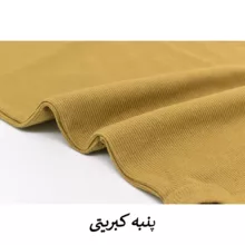 بادی آستین کوتاه زنانه مدل بارن کد 4004 رنگ شتری