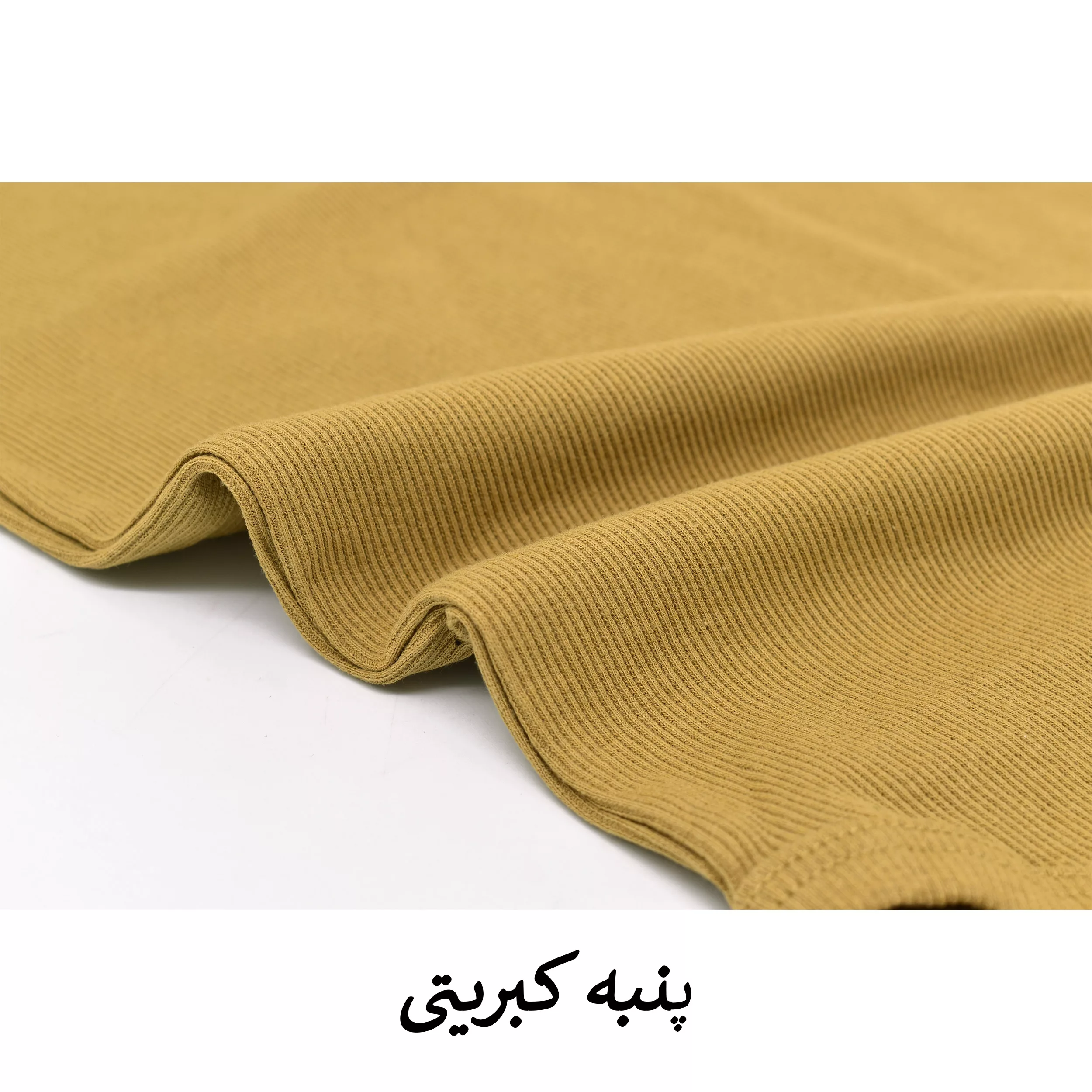 بادی آستین کوتاه زنانه مدل بارن کد 4004 رنگ شتری