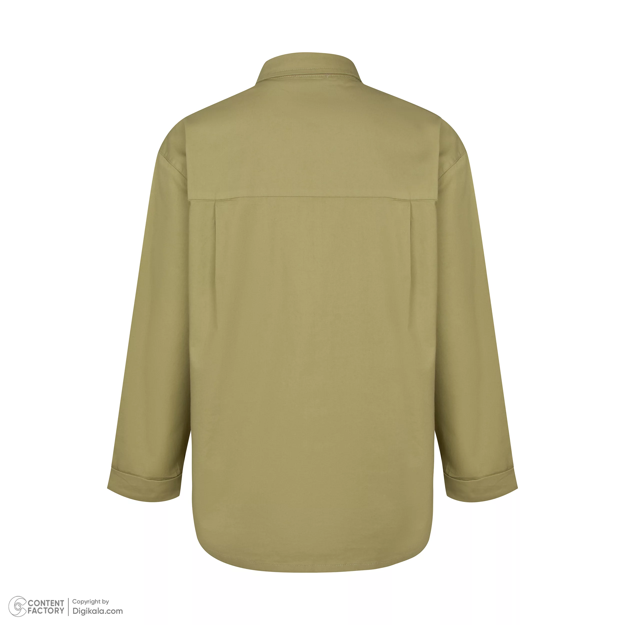 شومیز آستین بلند یقه برگردان زنانه آر اِن اِس مدل 112723237800