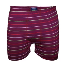 شورت مردانه چیندکا مدل پادار کد 800 مجموعه 6 عددی