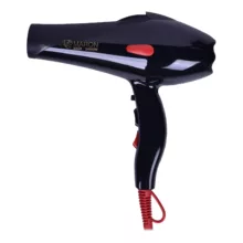 سشوار حرفه ای پرومارون مدل RL-8808