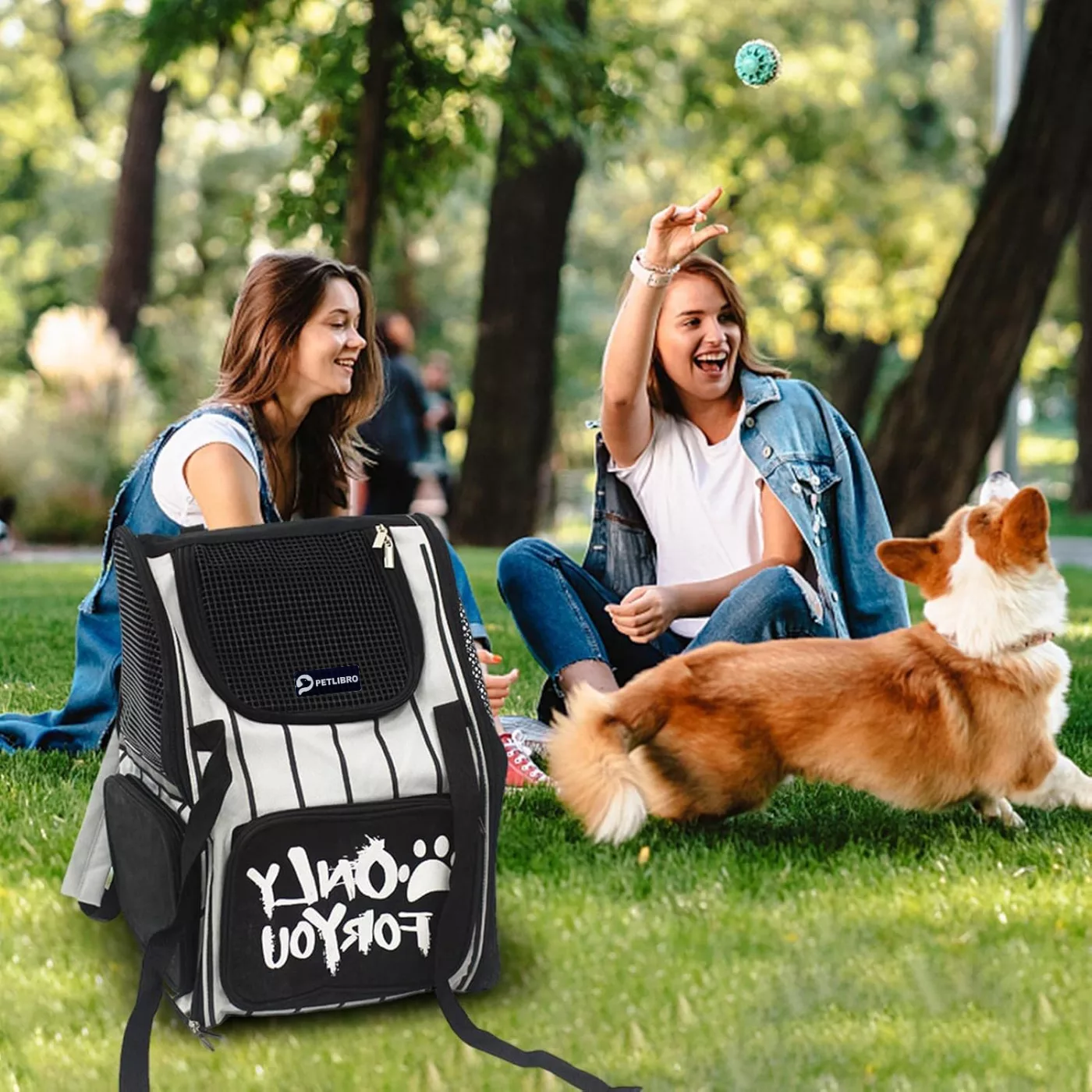 کوله پشتی حمل سگ پت لیبرو مدل PL-BG0020