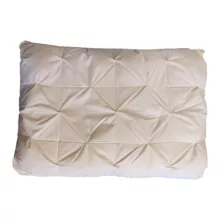 بالش آکسون مدل دو حالته