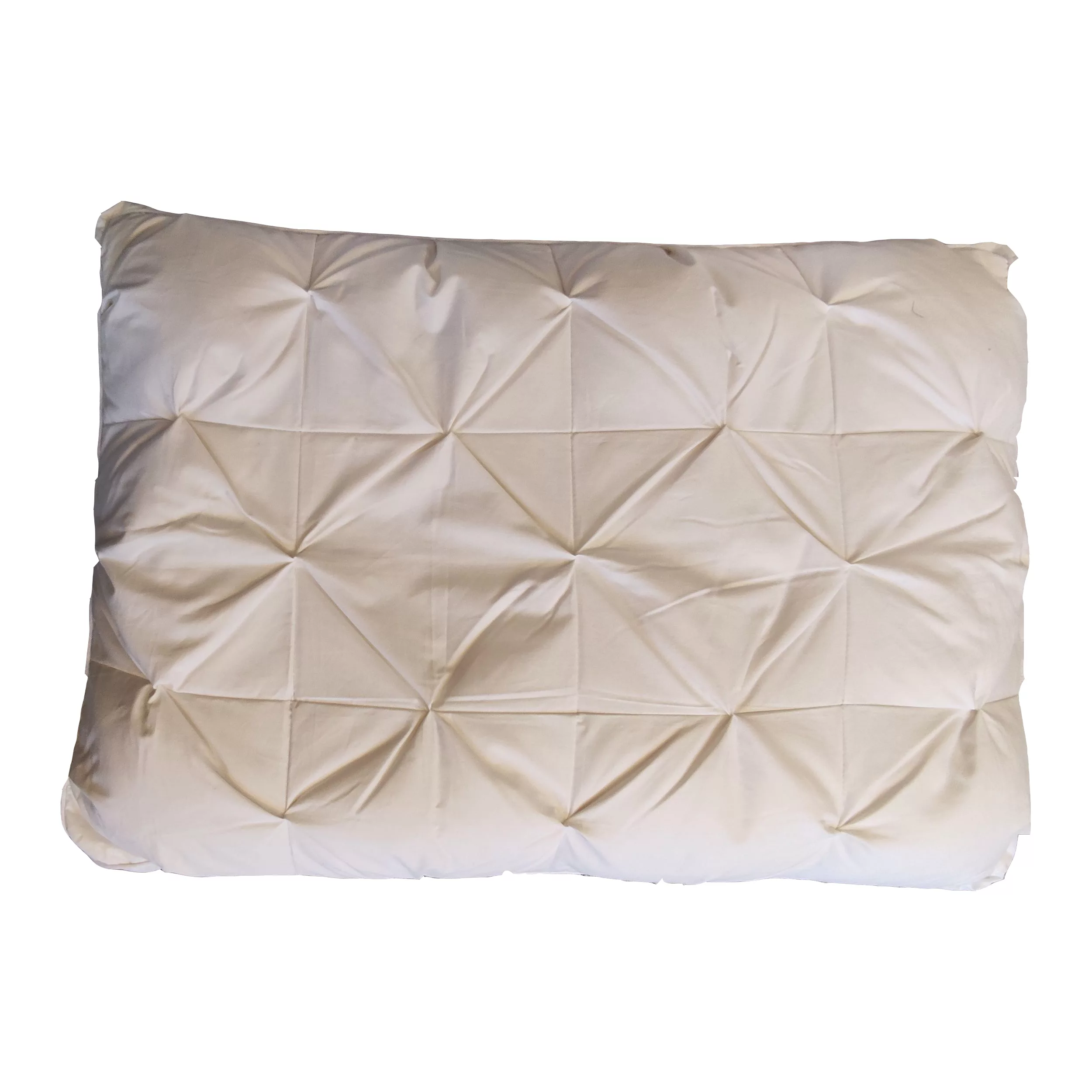 بالش آکسون مدل دو حالته