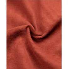 کراپ تیشرت آستین کوتاه زنانه مدل SB-SS-01845