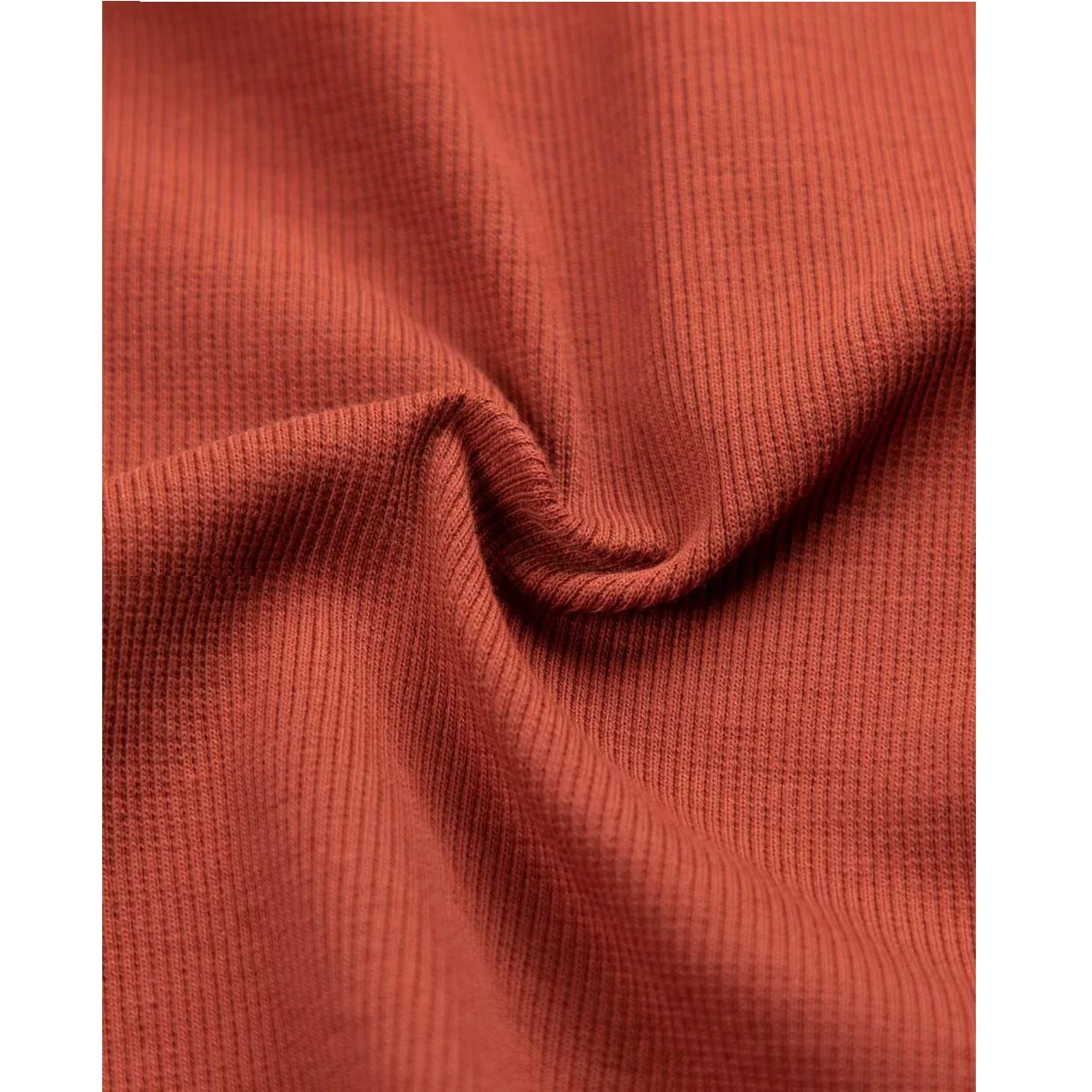 کراپ تیشرت آستین کوتاه زنانه مدل SB-SS-01845