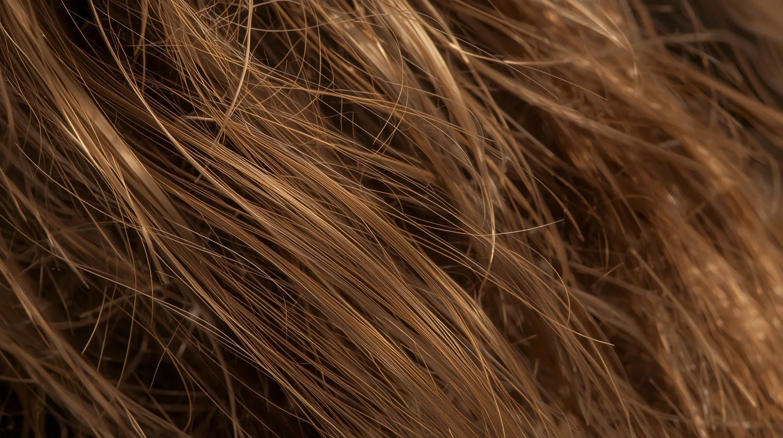 Treatment of burnt hair
