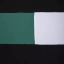 ست تی شرت و شلوارک مردانه مادر مدل رابرت