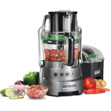 غذاساز 600 وات همیلتون بیچ مدل 70825