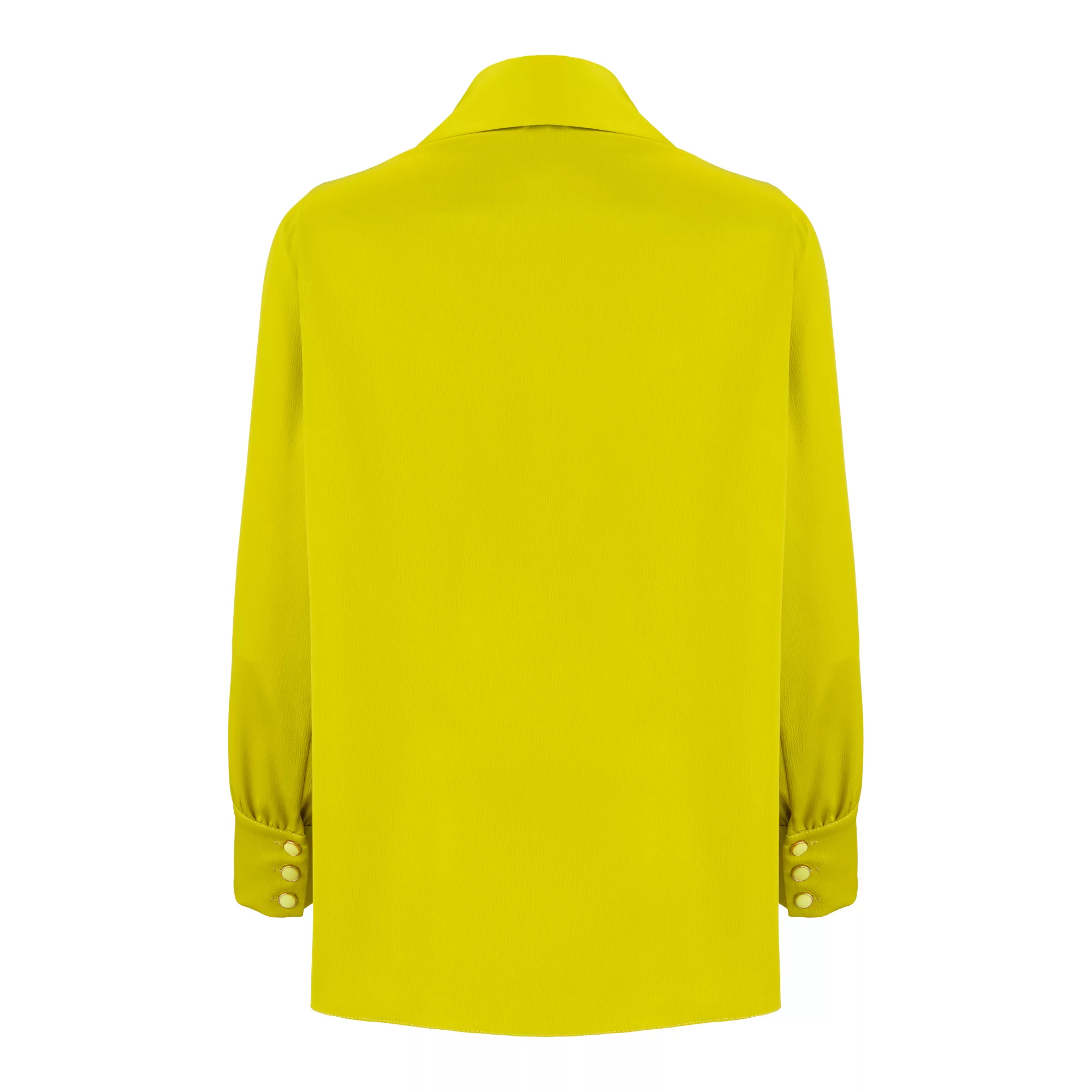 شومیز آستین بلند زنانه السانا مدل ریماس کد 172534