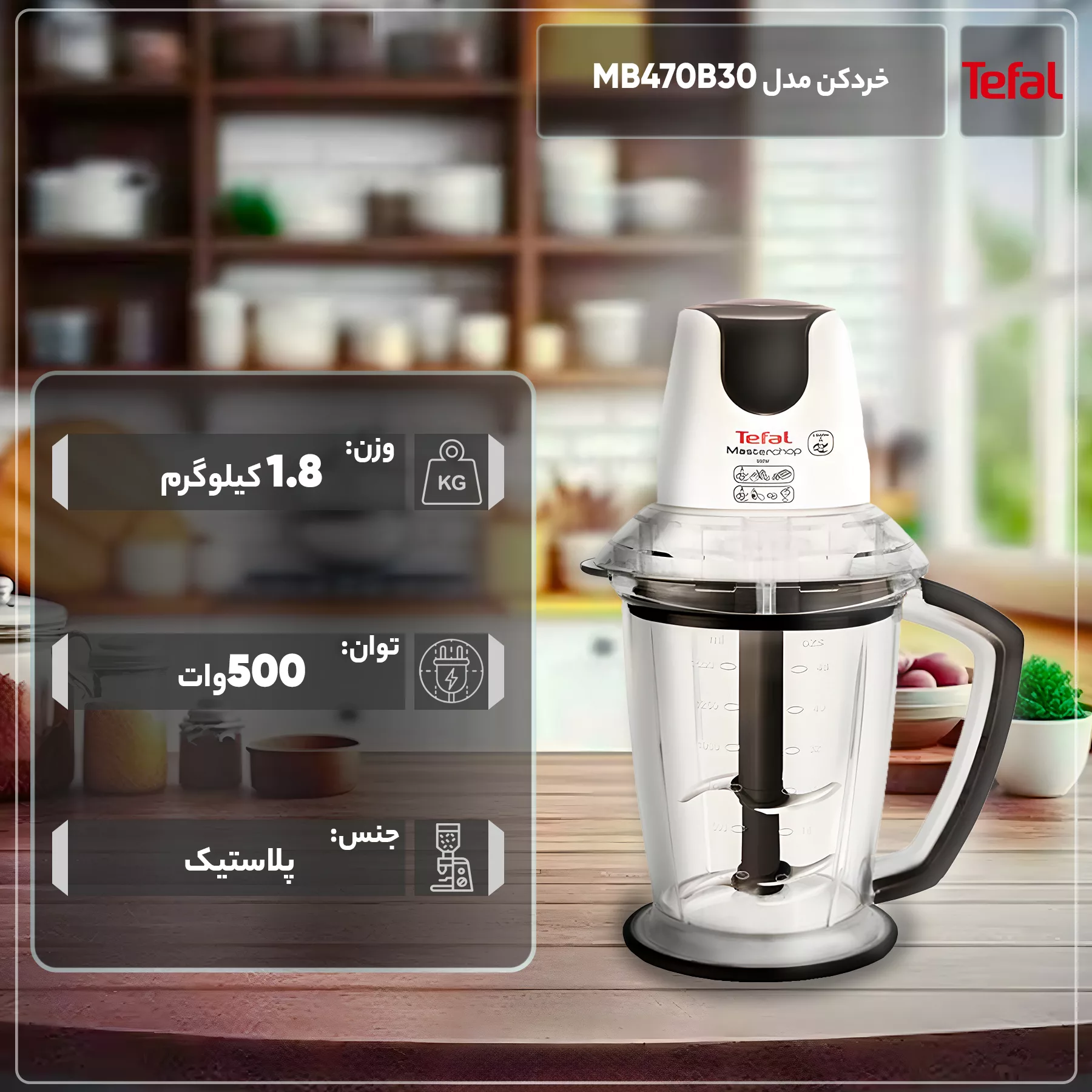 خردکن تفال مدل MB470B30