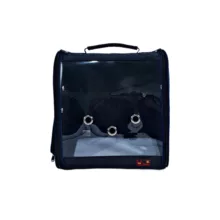 کیف حمل طوطی و عروس هلندی دیوید مدل آماندا