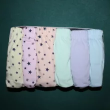 شورت زنانه چیندکا مدل پنبه کد 1003 مجموعه 6 عددی