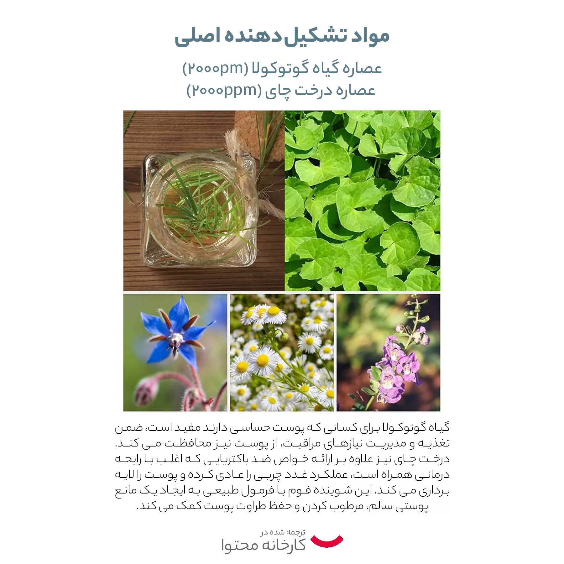 کرم مرطوب کننده جیگوت مدل سیکا تی تری حجم 50 میلی لیتر