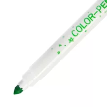 ماژیک رنگ آمیزی 64 رنگ آریا مدل طلقی کد 25