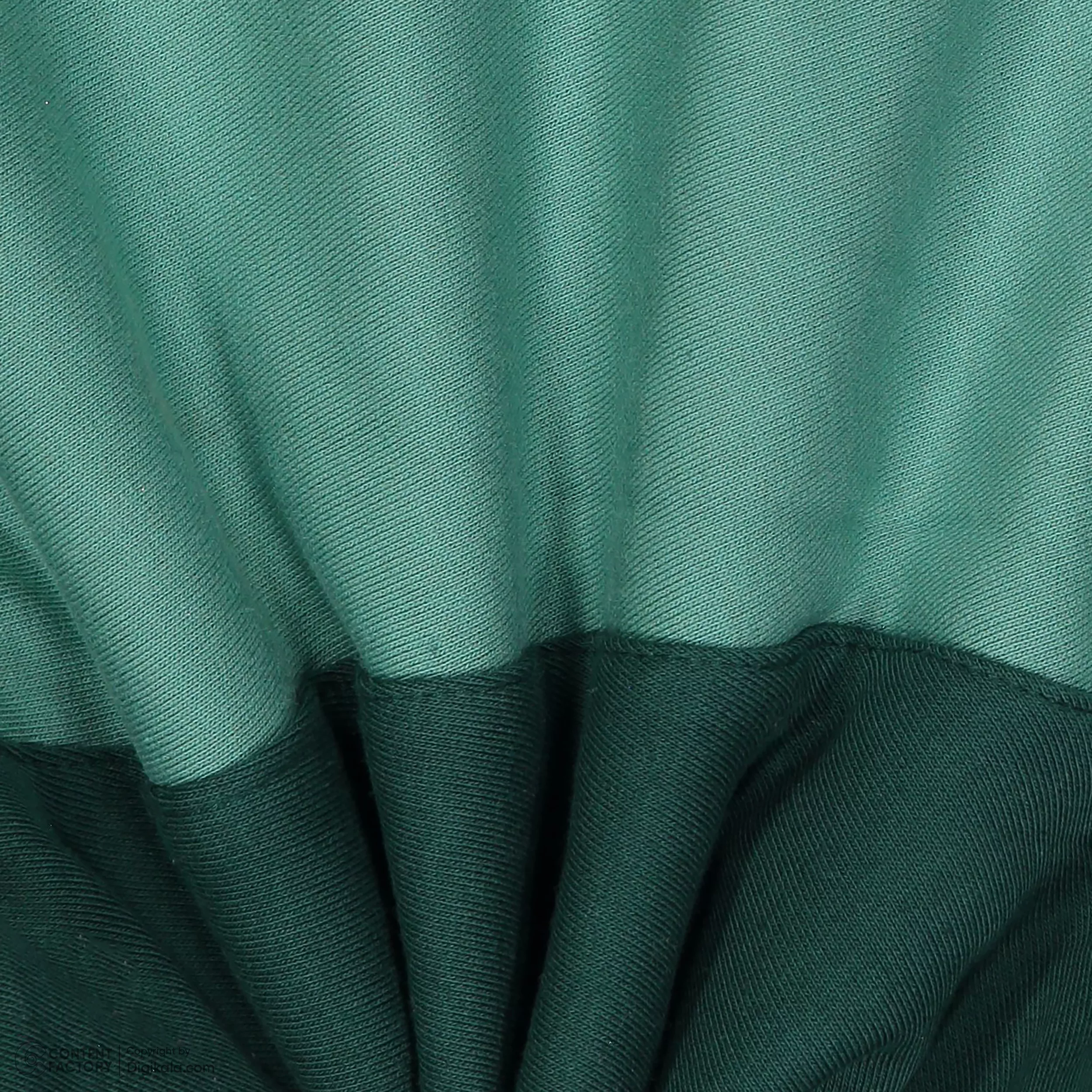 ست هودی و شلوار مردانه چمپیون مدل S-09