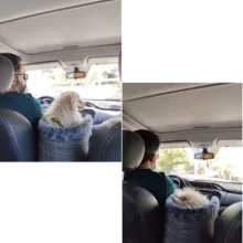 باکس حمل سگ و گربه آردوج مدل کنسول خودرو