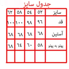 پالتو مردانه مدل 17329811