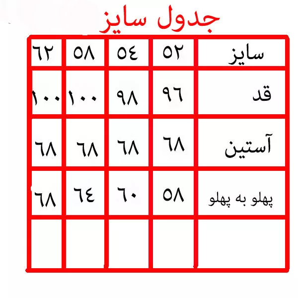 پالتو مردانه مدل 17329811
