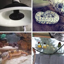 المنت تابشی مدل ROHS 200W CE