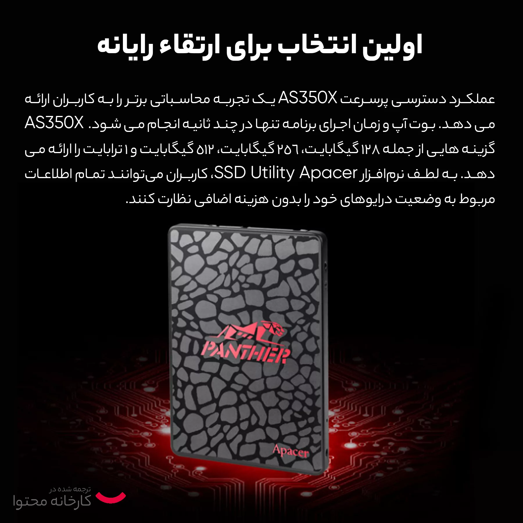 اس اس دی اینترنال اپیسر مدل AS350 PANTHER ظرفیت 256 گیگابایت