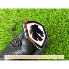 چراغ اس ام دی راهنما خودرو مدل Lion-100 بسته 2 عددی