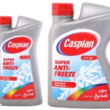 ضدیخ و ضدجوش خودرو کاسپین مدل چهار فصل بسته 2 عددی