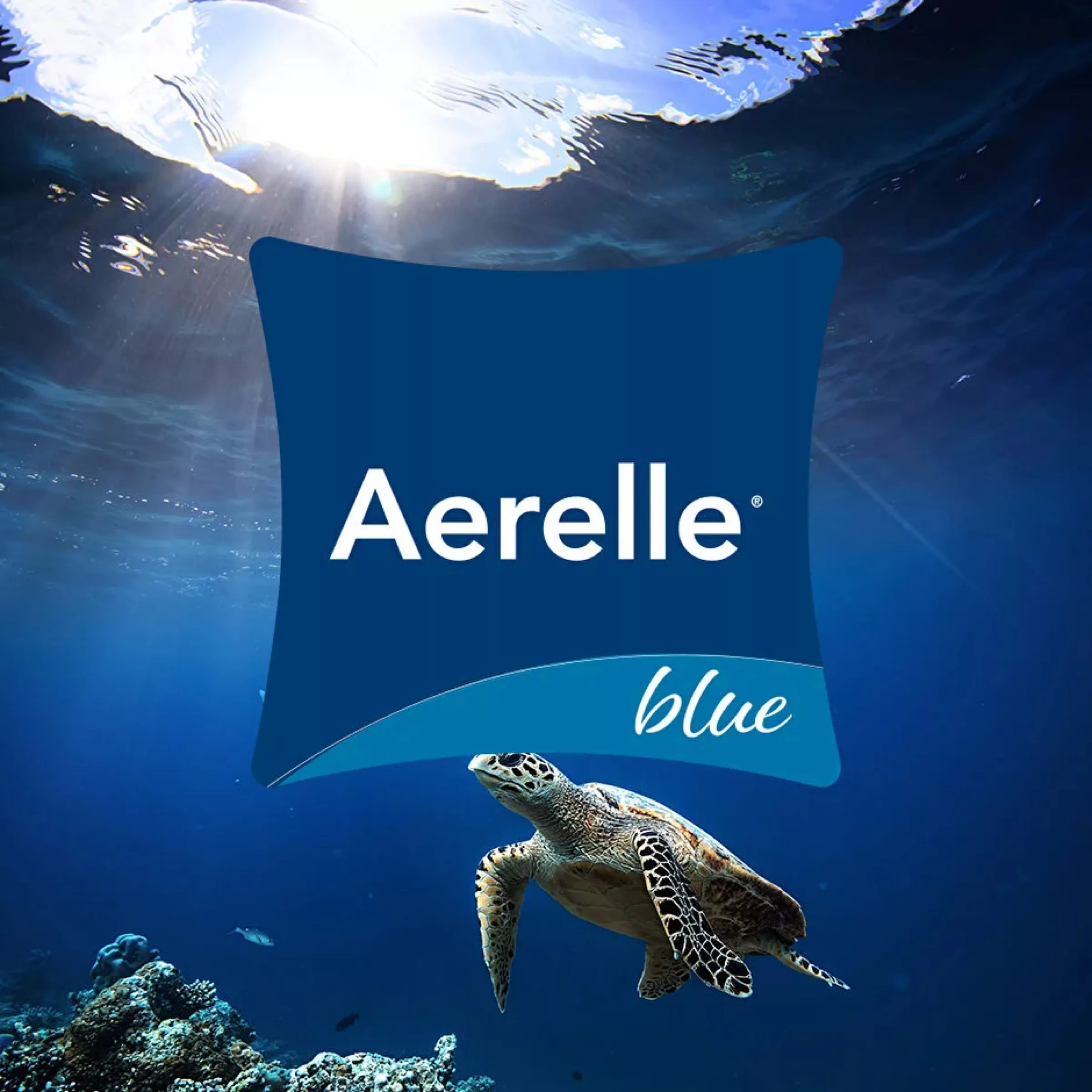 بالش یاتاش مدل Dacron Aerelle سایز ۵۰*۷۰ سانتیمتر