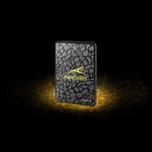 اس اس دی اینترنال اپیسر مدل AS340 PANTHER ظرفیت 120 گیگابایت