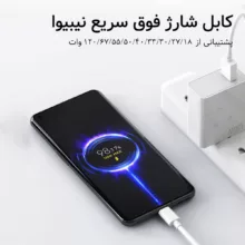 کابل تبدیل USB به USB-C نیبیوا مدل Fast Charge 120W طول 2 متر