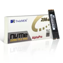 اس اس دی اینترنال تویین موس مدل NVMe M.2 2280 PCIE ظرفیت 256 گیگابایت