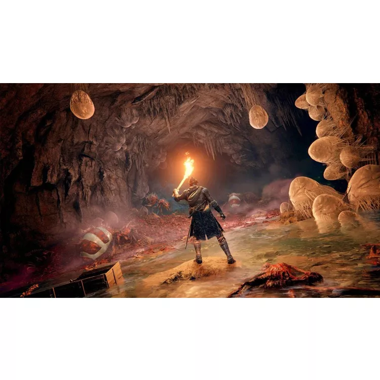 بازی Elden Ring مخصوص PS4