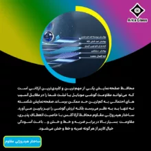 محافظ صفحه نمایش مات آرکا گلس مدل Tough مناسب برای گوشی موبایل سامسونگ Galaxy S24 Ultra