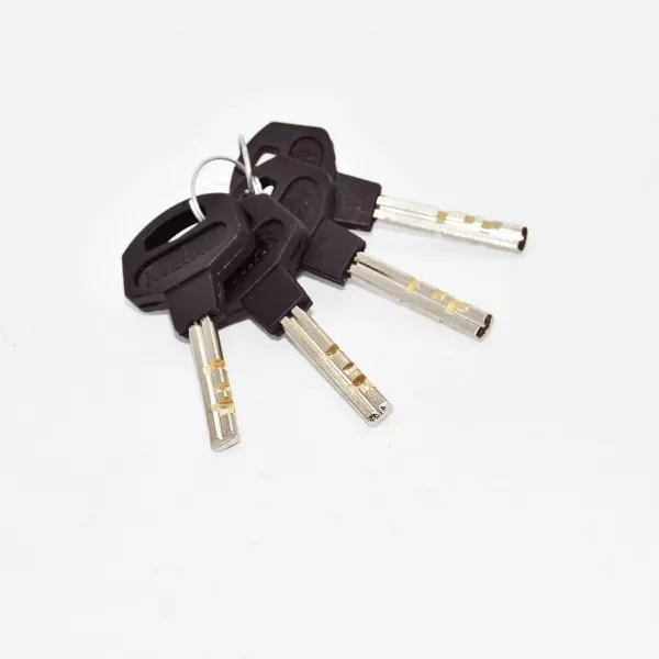 قفل کتابی کهن مدل هیدرودیسکی کد 85