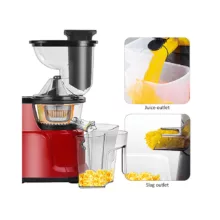 آبمیوه‌گیری دسینی مدل DS-98V5