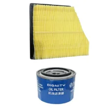 فیلتر روغن خودرو مدل 1012  مناسب برای دیگنیتی پرایم به همراه فیلتر هوا