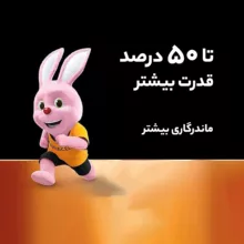 باتری قلمی دوراسل مدل PLUS-LR6 بسته 40 عددی